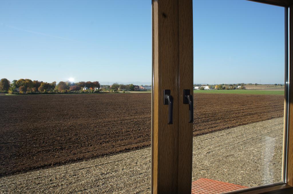 Ferienwohnung FeWo Lingenfeld Exterior foto